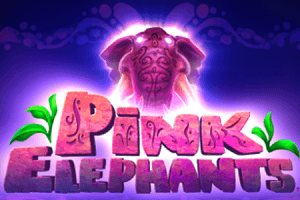 pink elephant casino pink elephant casino