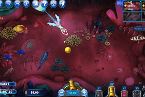 Fish Catch Casino Game Fish Catch Casino Game