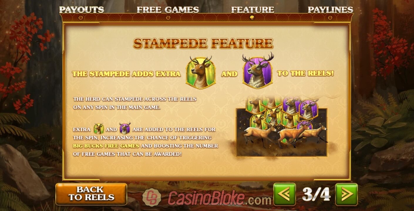 Forest Prince Slot thumbnail - 3