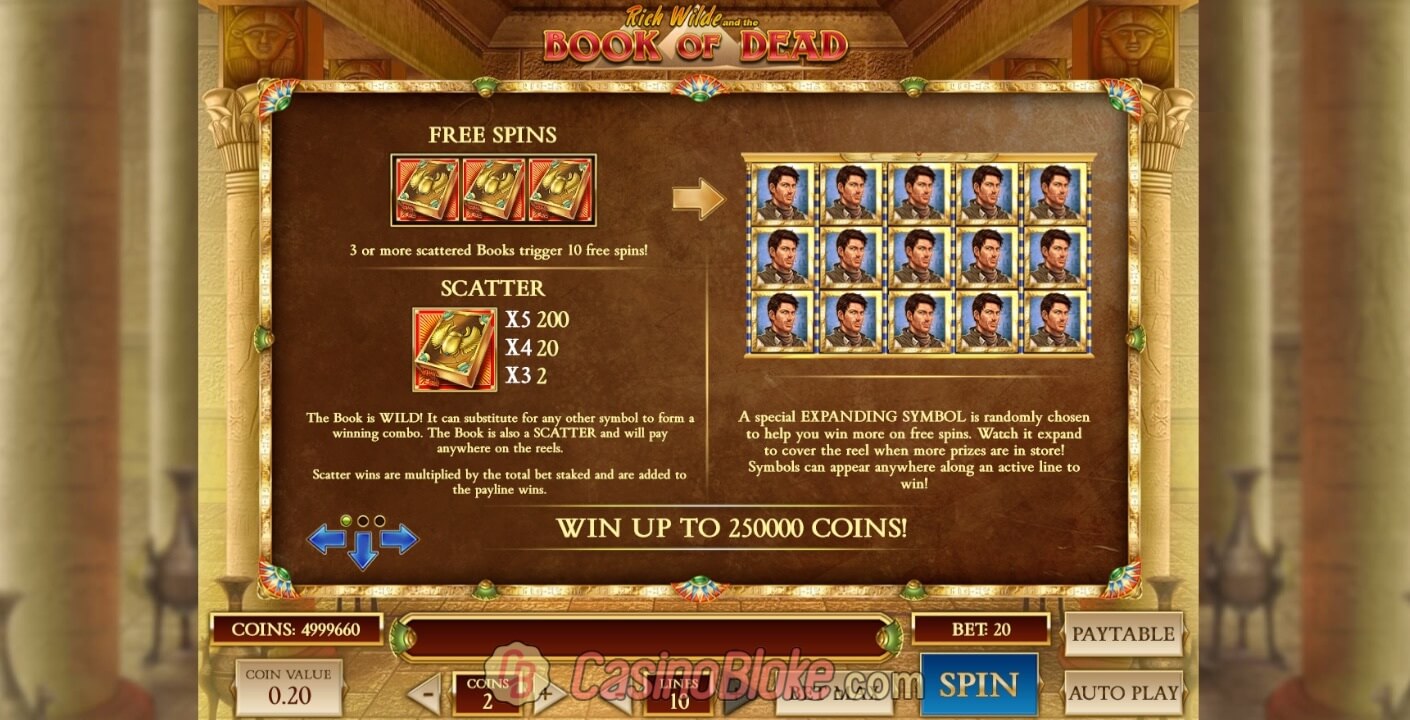 Book of Dead Slot thumbnail - 3