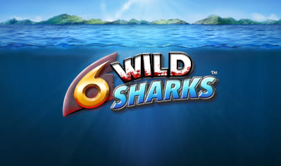 6 Wild Sharks Logo Big