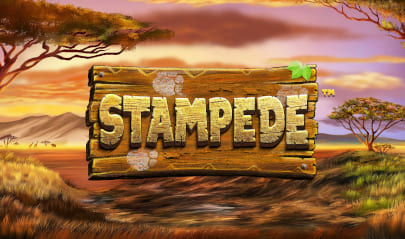 Stampede Logo Big