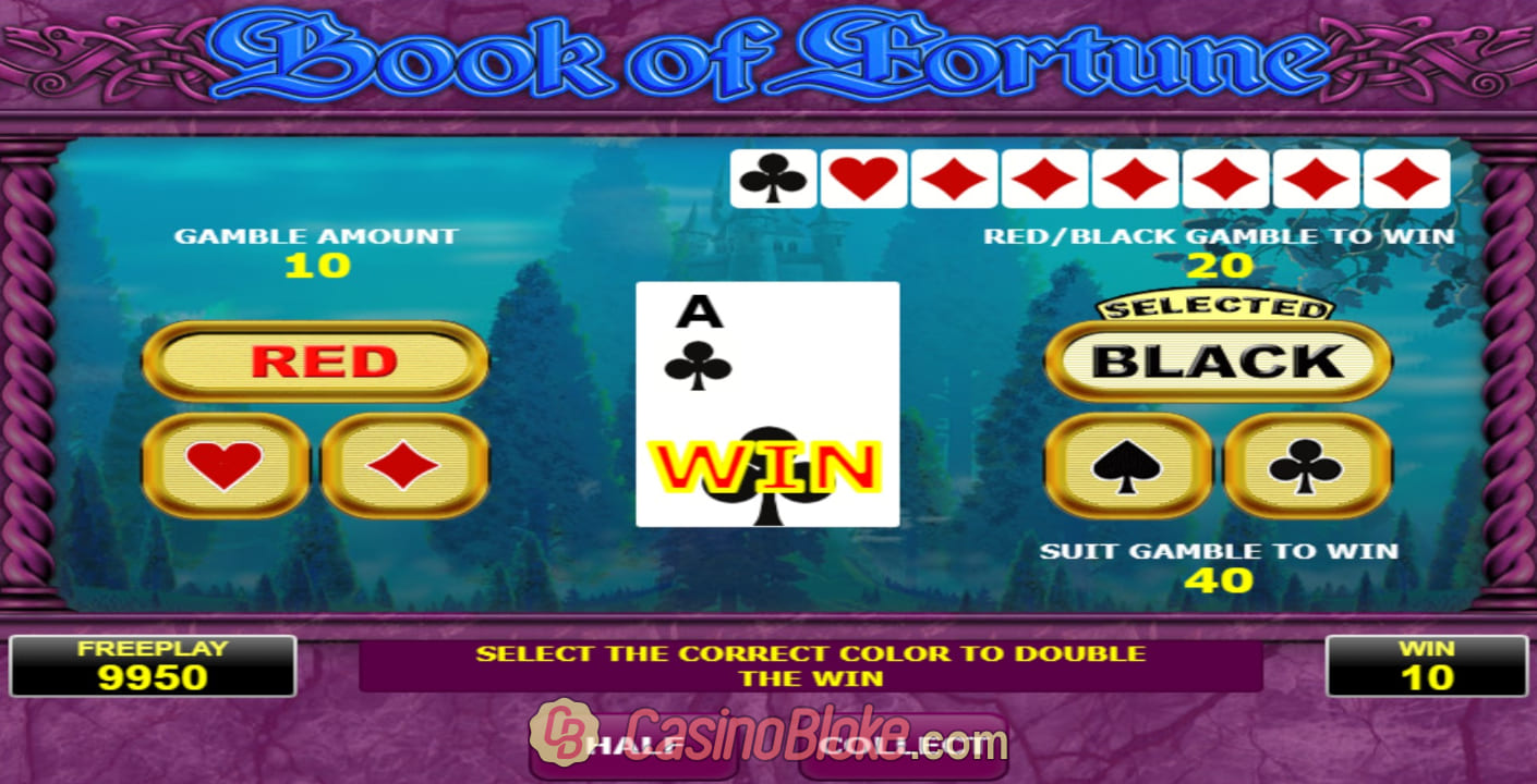 Book of Fortune Slot thumbnail - 3