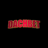 dachbet casino