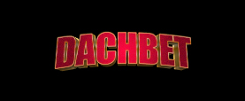 dachbet casino review